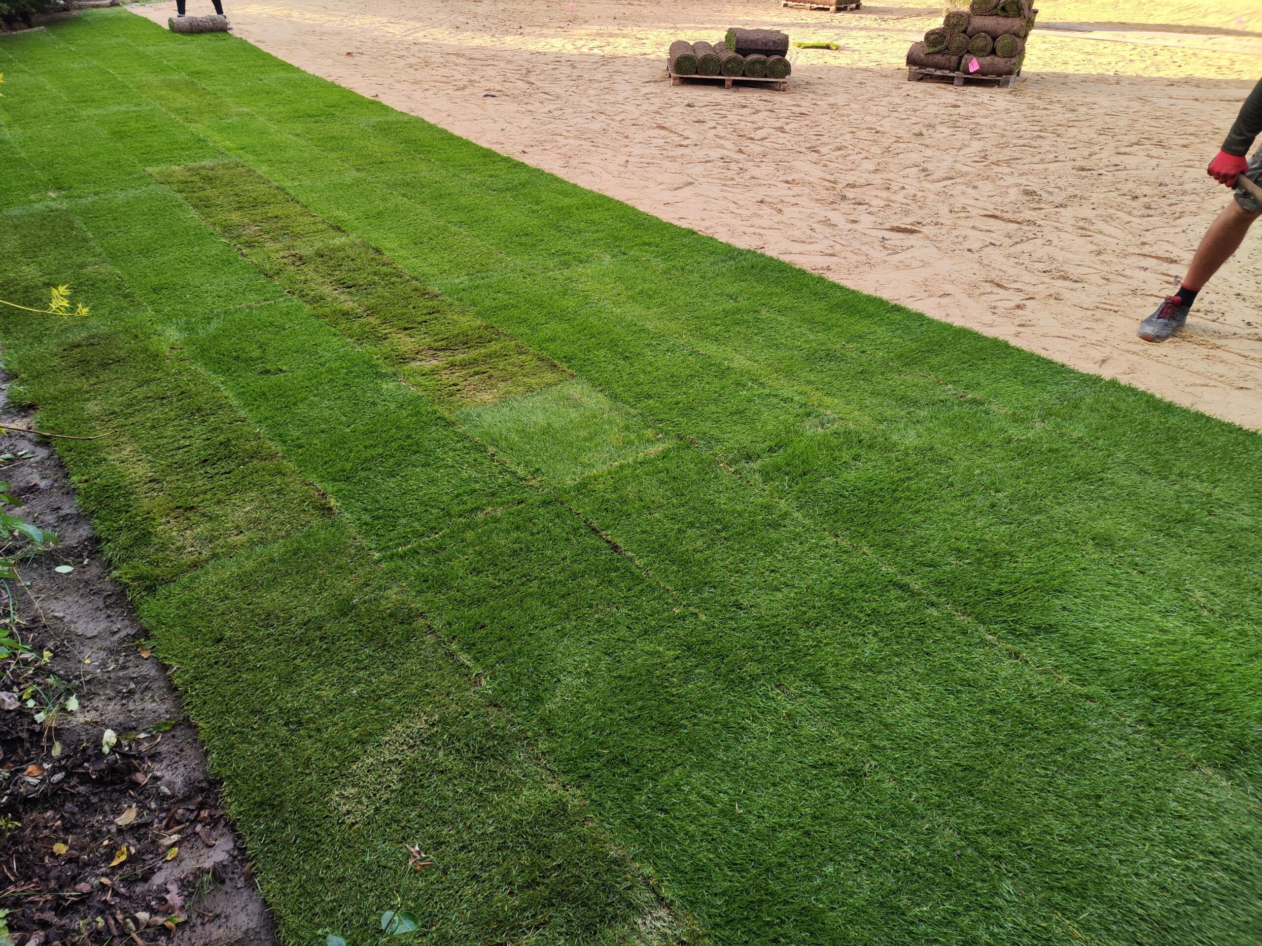 Pokládaný trávník