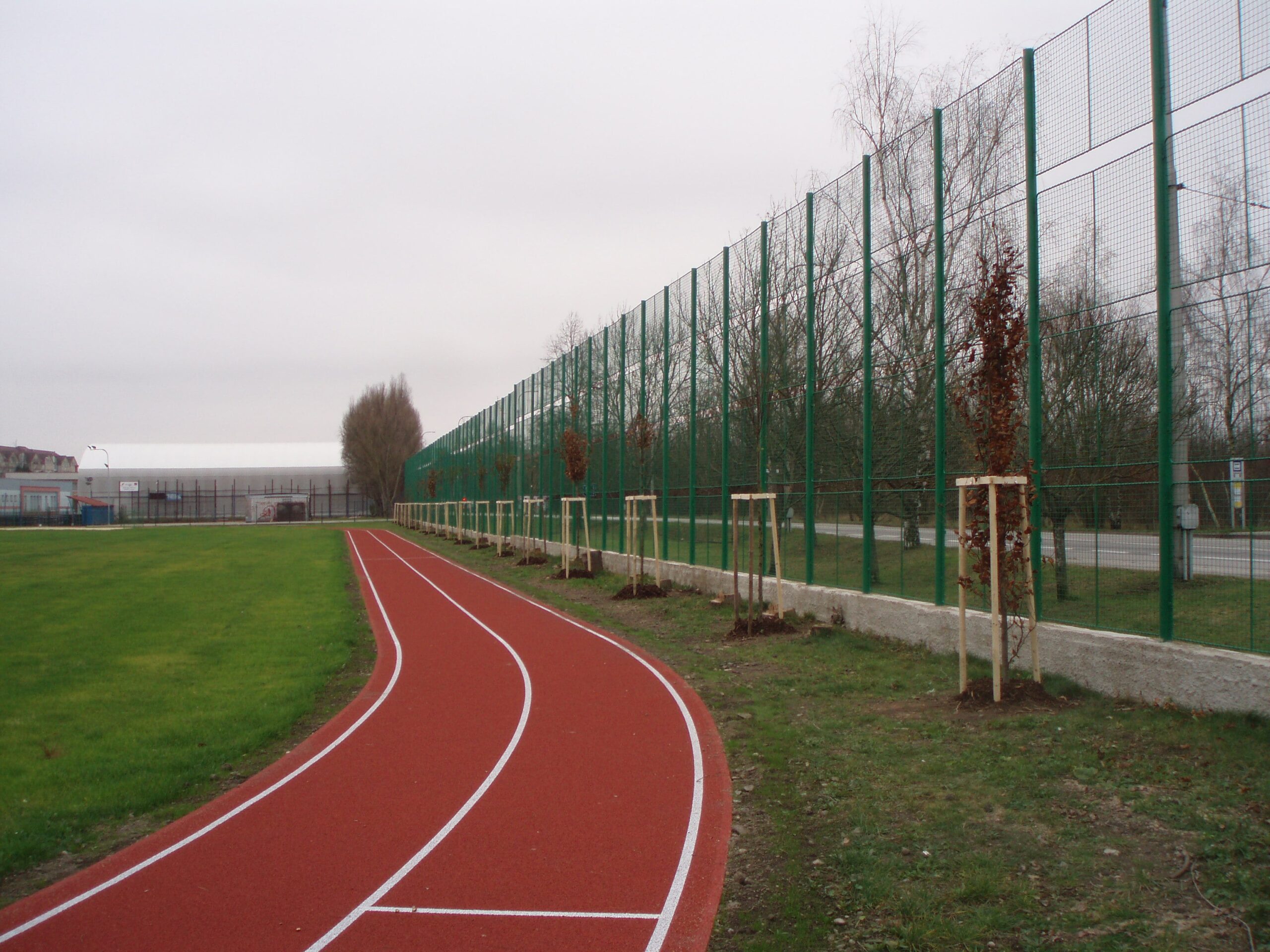 Alej vysetých stromků