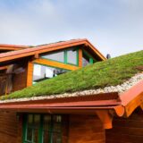 Proč zelené střechy