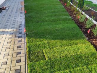 Automatické zavlažování